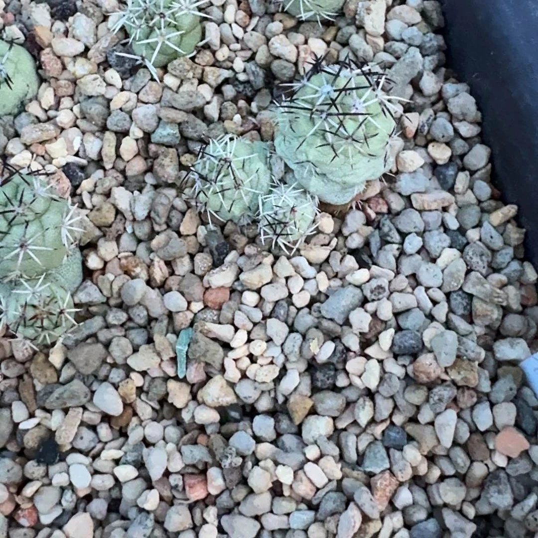 ?**?花花花花花花花花花