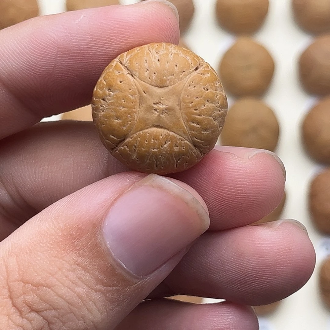 中***家吊坠凤眼菩提4星打孔不退换