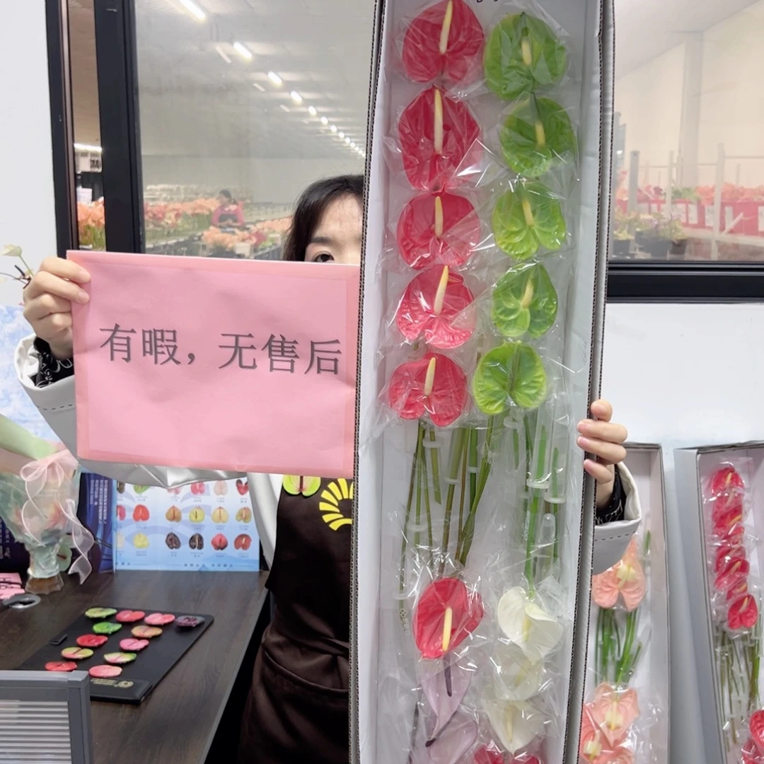 完全开放混色-20枝装无售后款208