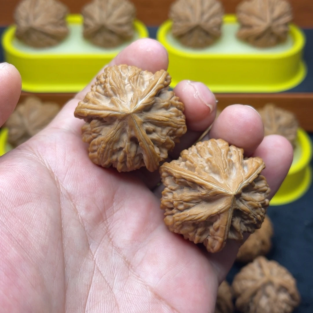 *****核桃手串/手链玉龙粗筋全品