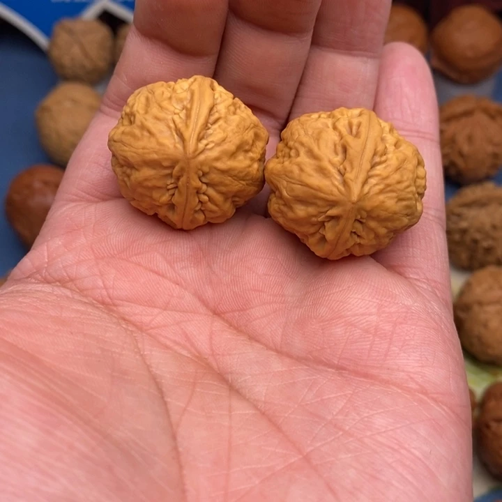 文玩核桃把件肉龙