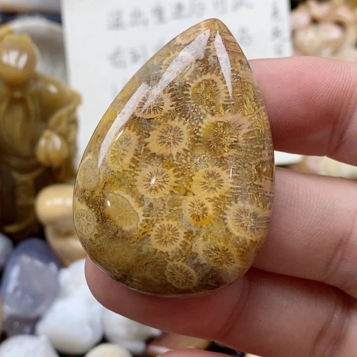 颈饰未镶嵌硅化珊瑚（珊瑚玉）?**像