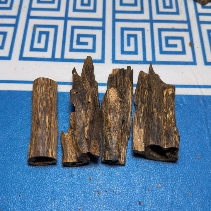 星***炎木绿奇树心虫漏74克