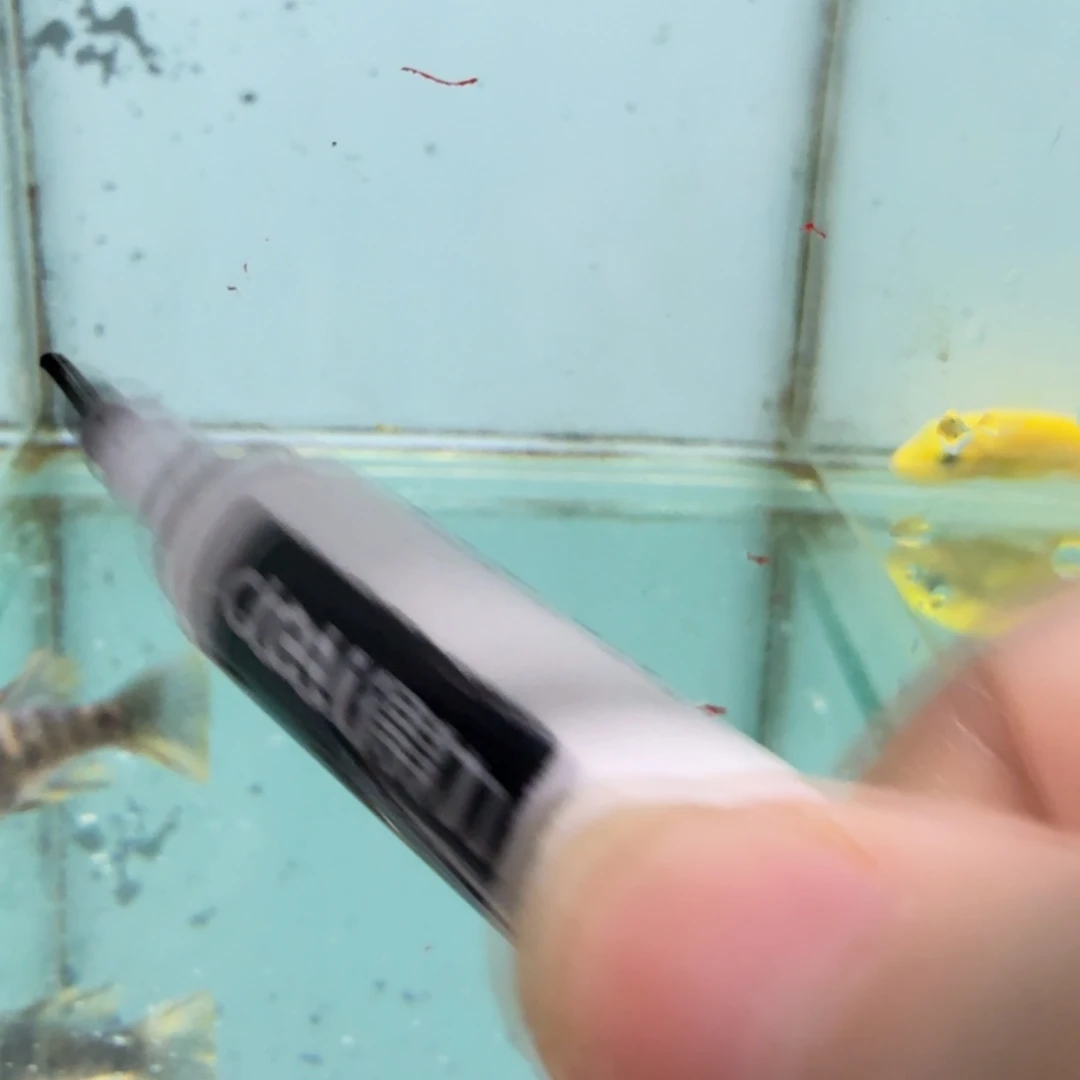 汉****海水647母鱼。
