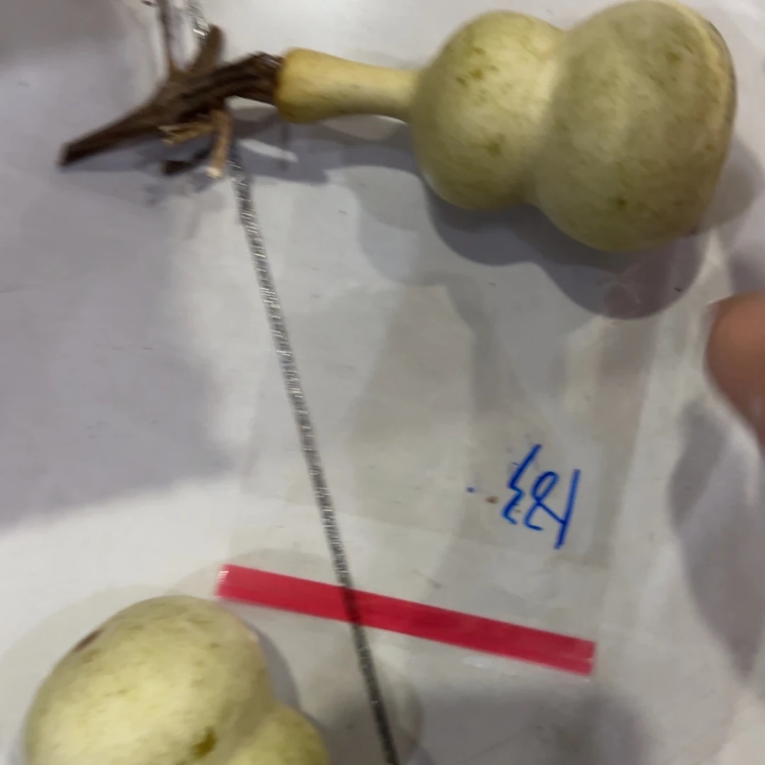 *****青皮不包成青皮不包成