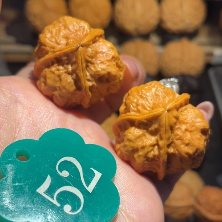 油豆三棱核桃尺寸35