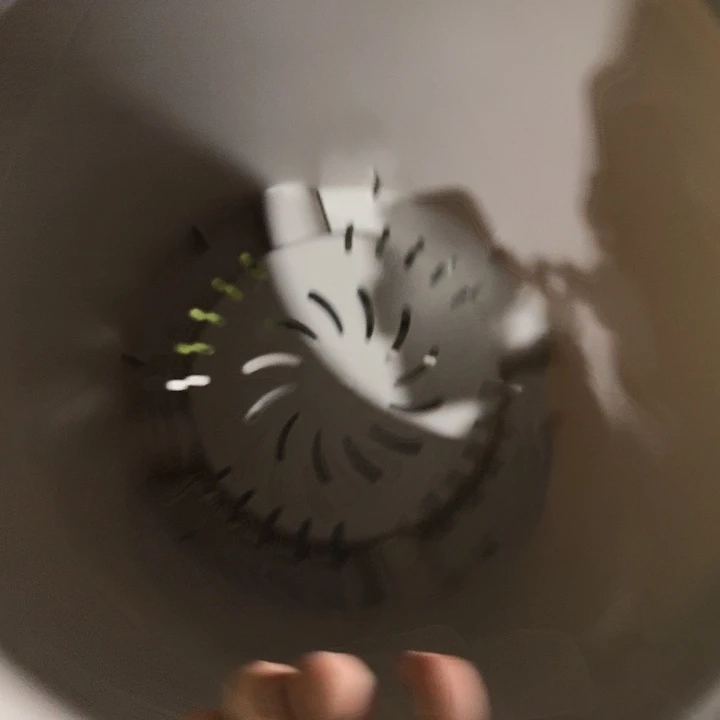 四季8号灰白无托5个特价微瑕