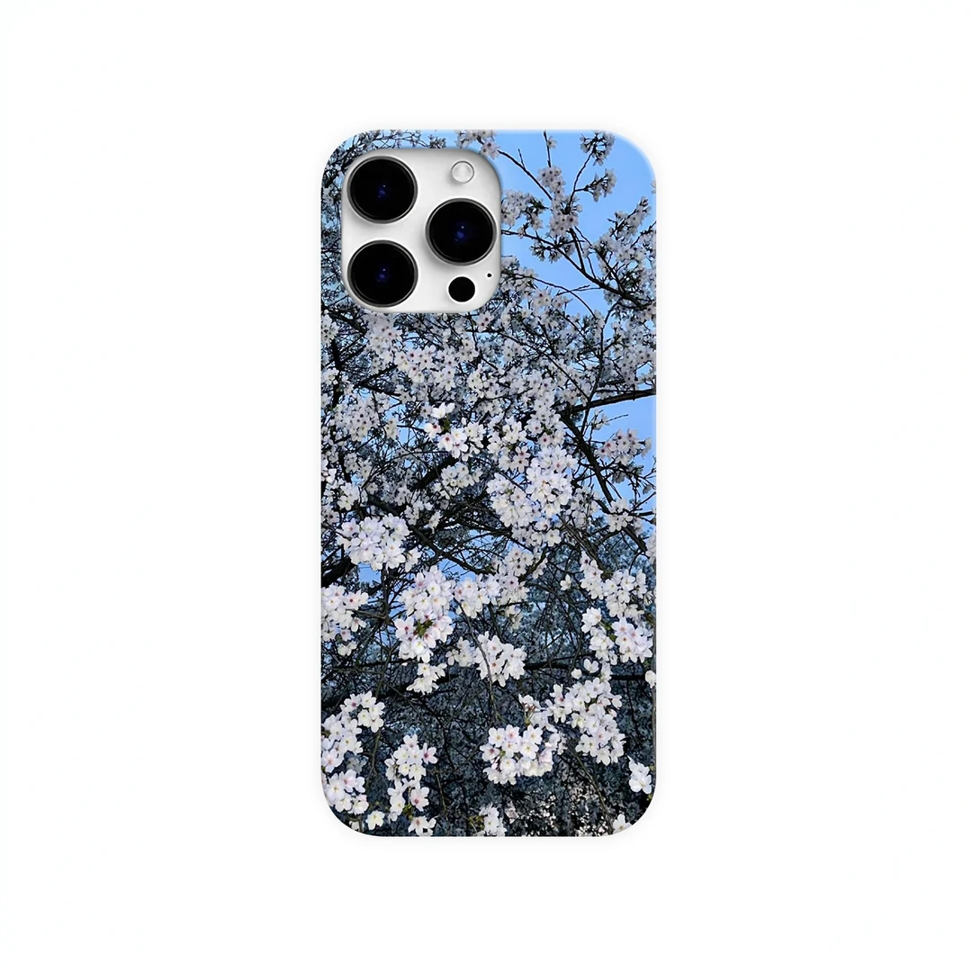 小众蓝调樱花手机壳适用于苹果16华为荣耀vivo小米oppo一加创意