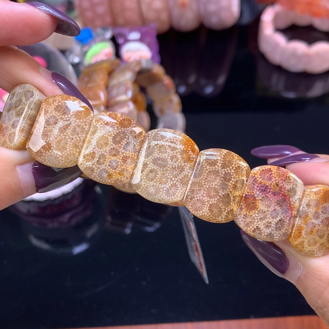 【闪购商品】颈饰未镶嵌硅化珊瑚（珊瑚玉）福利手牌超漏（18号）