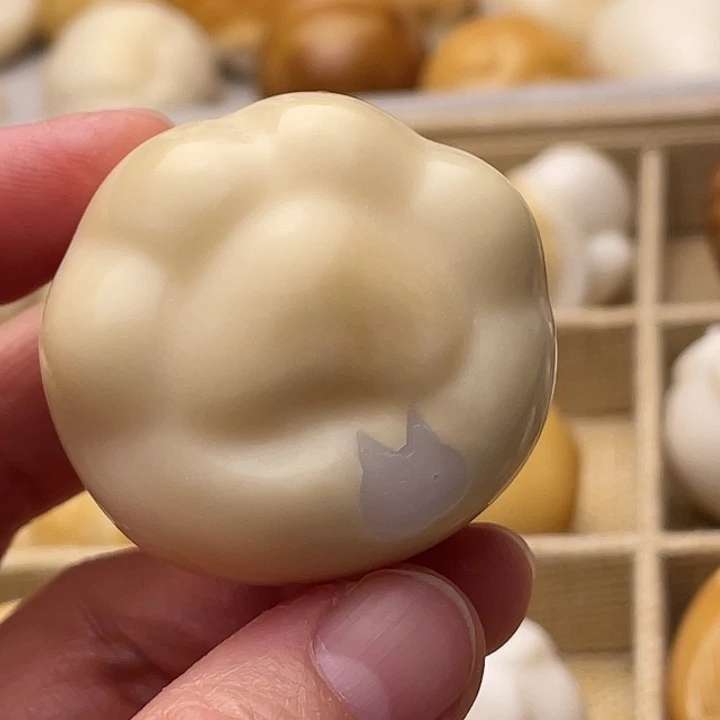 吊坠菩提根/象牙果猫爪4237