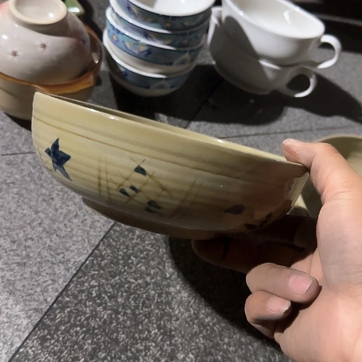 瓷片陶瓷盘子碗啥都有口径19高度6.5