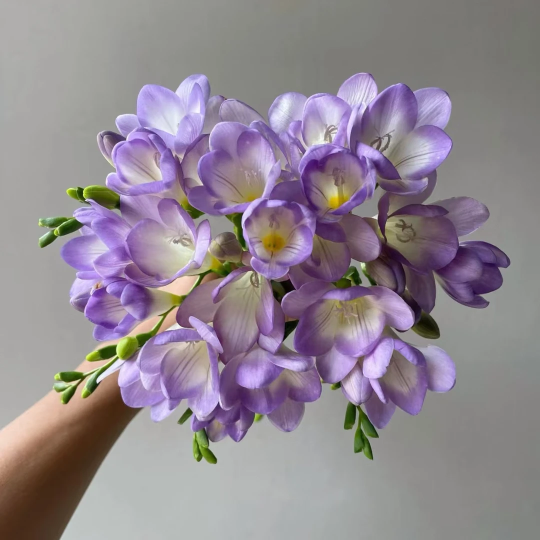 【源头一手价】紫色香雪兰一把 批发花店摆地摊基地直发一手货源