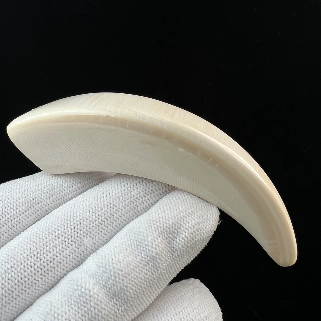 L1253天然猛犸牙 牙尖 89.9mm支持鉴定 假一罚四