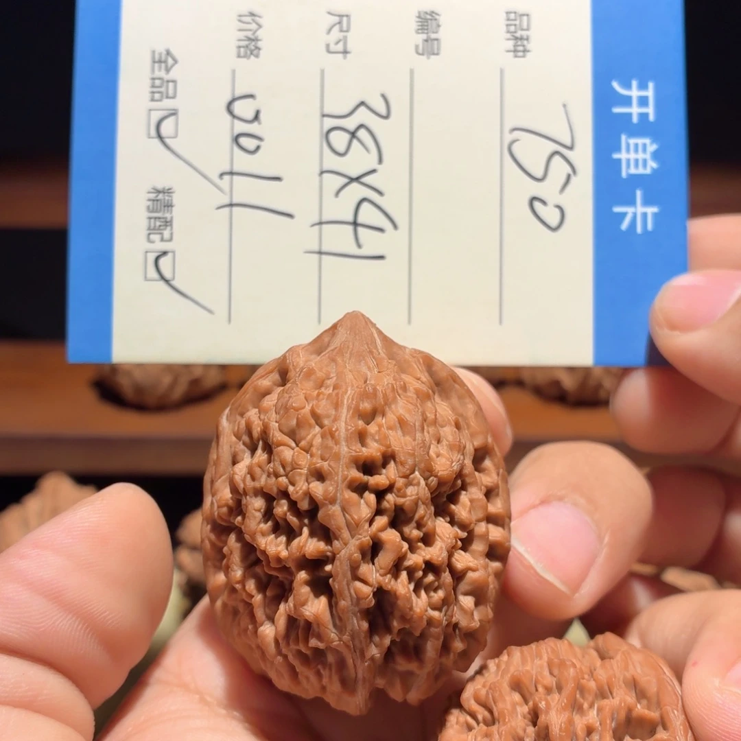 全品无修38 ×41大蒜头头货