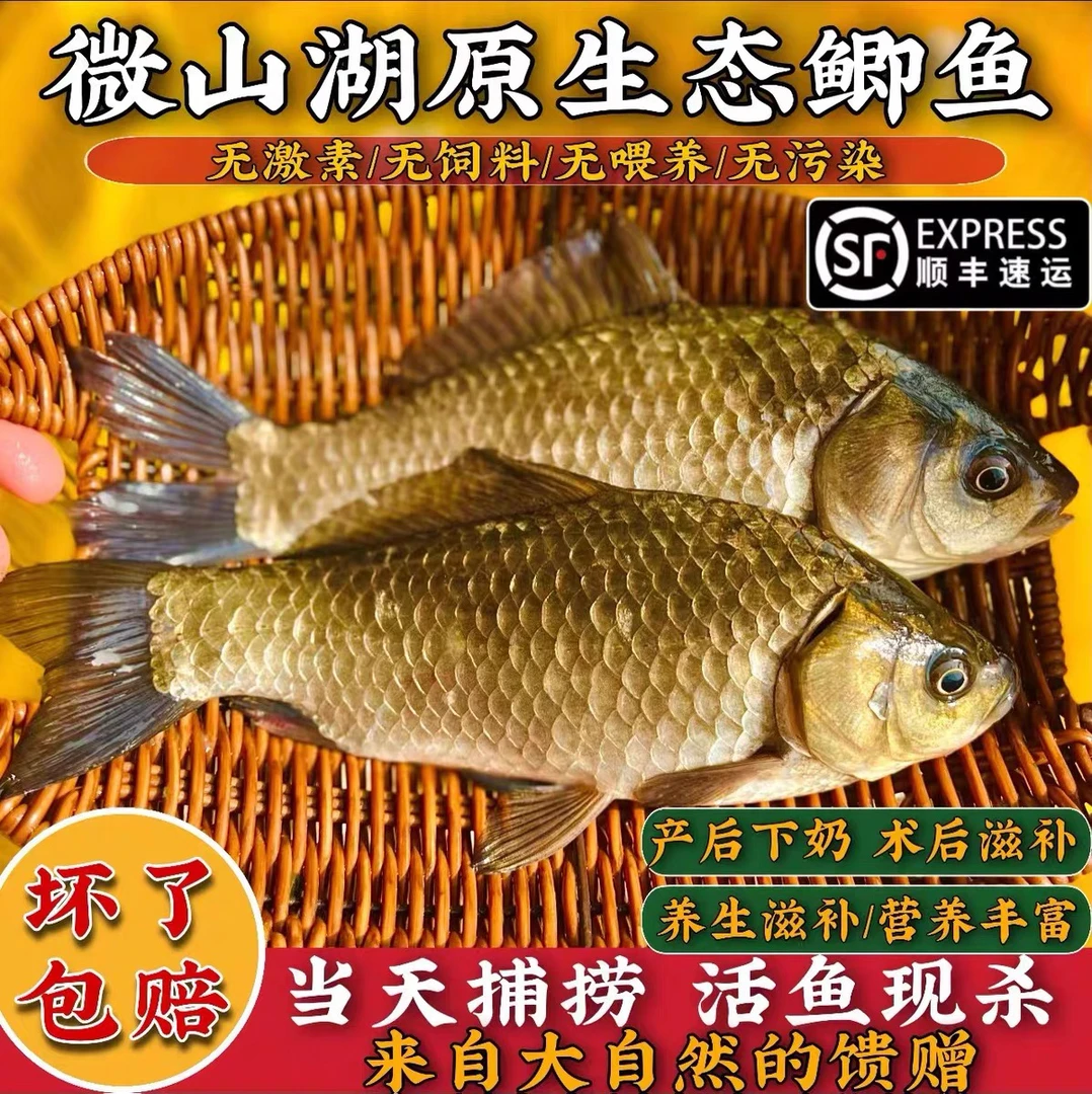 顺丰微山湖野生大鲫鱼新鲜活鱼现杀淡水小鲫瓜子孕产妇下奶月子汤