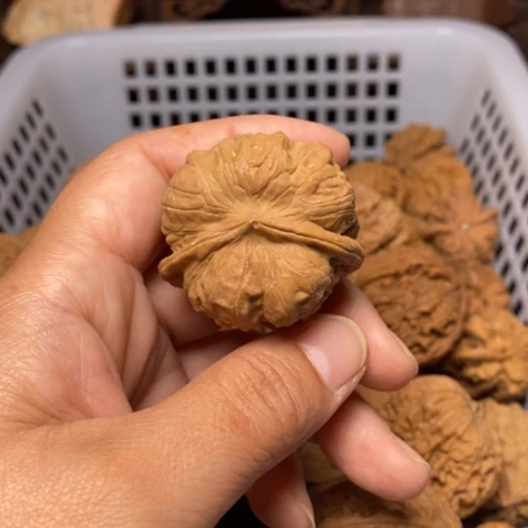 荆***鸟文玩核桃把件核桃