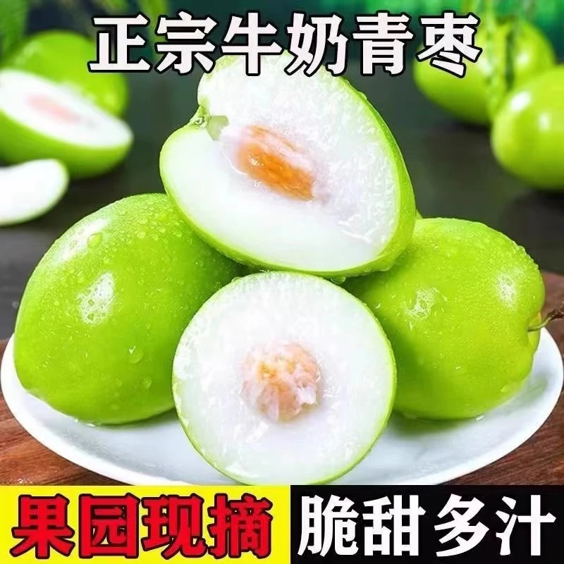 福建牛奶贵妃枣大青枣新鲜水果当季整箱包邮大蜜枣脆冬枣苹果枣