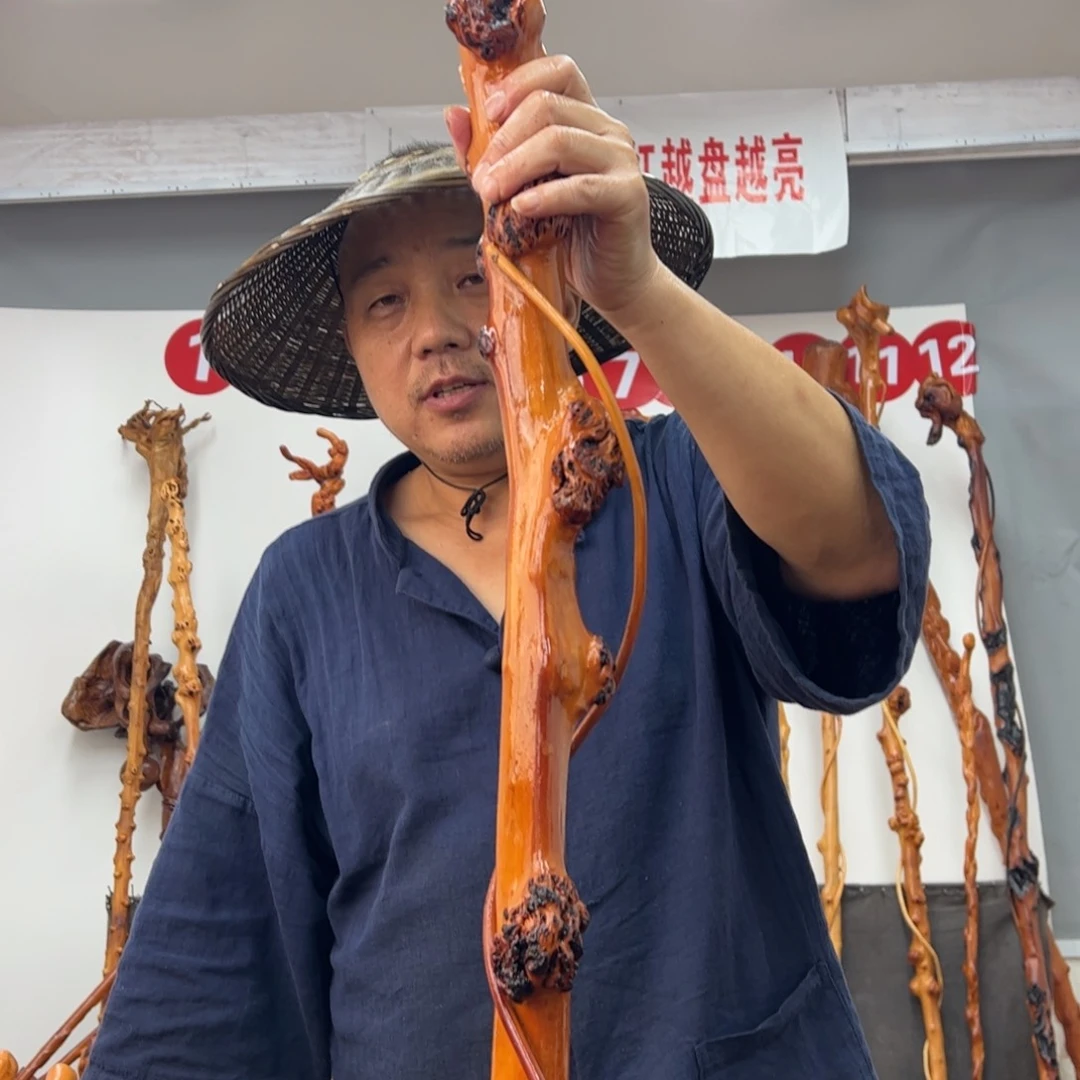 张***原黑果木其他黑果木703