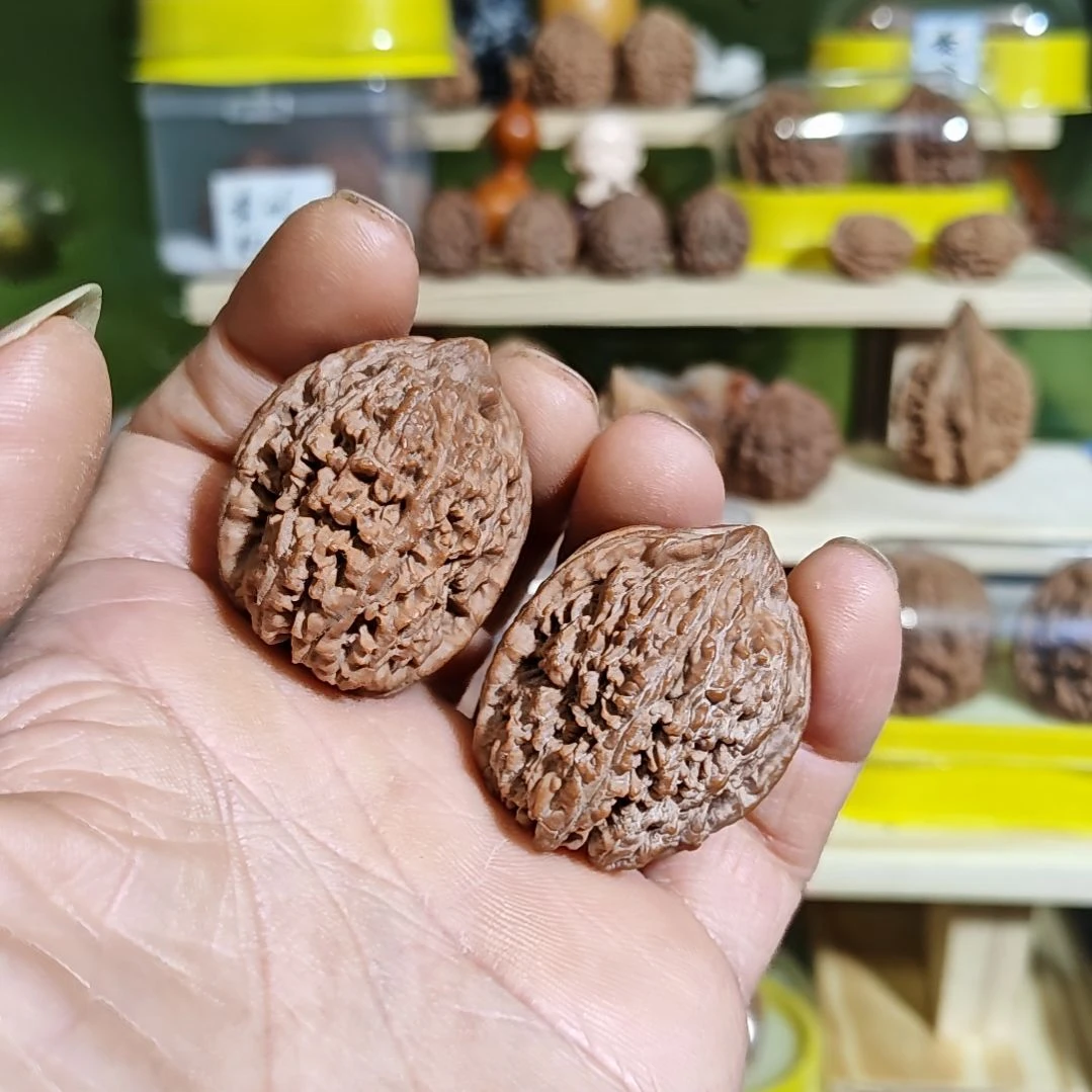 34加尺寸大蒜头有黄练手对