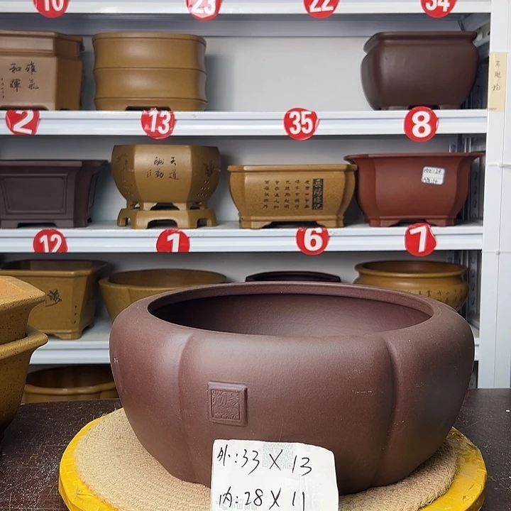 紫砂花盆蛇年大吉