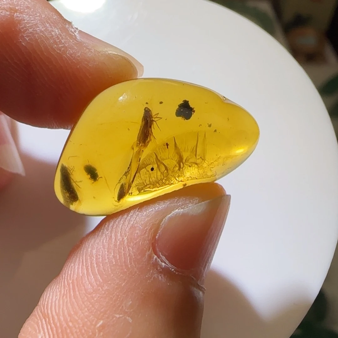 未镶嵌琥珀裸石虫珀