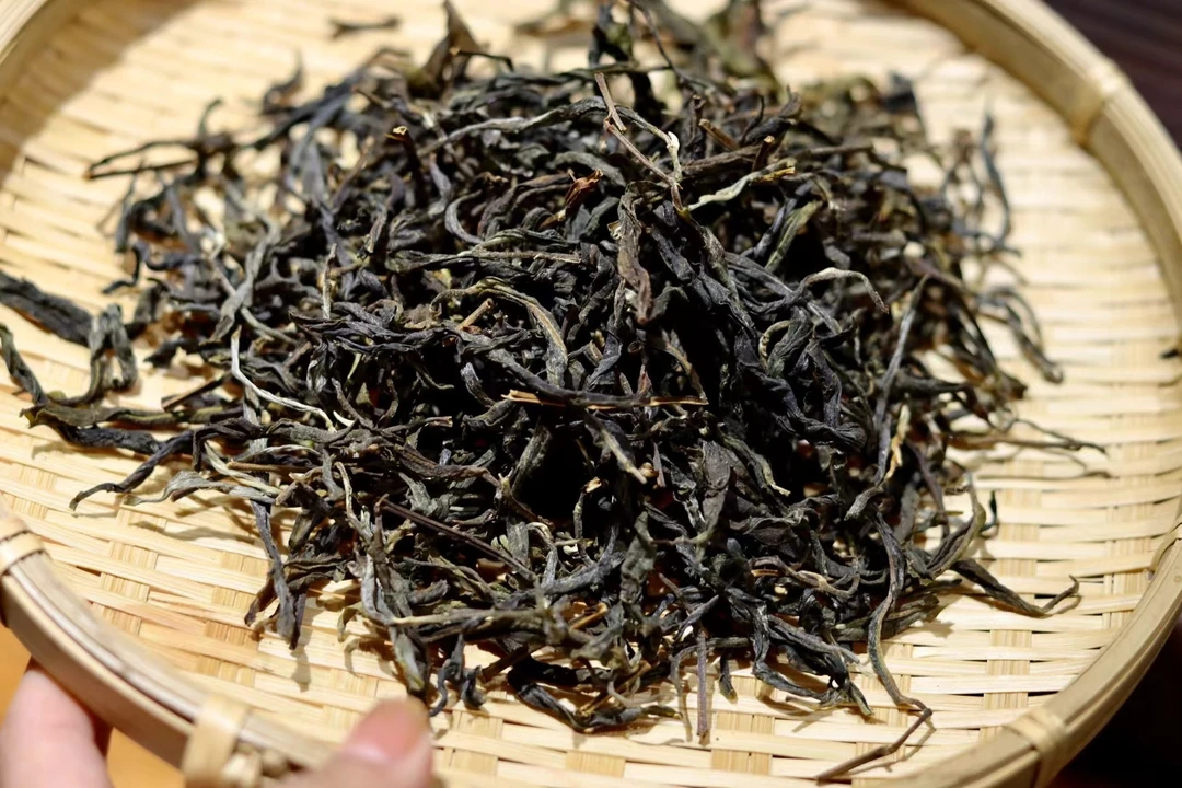 【13号 陈发龙】2023年西半山苞谷地古树春茶散茶