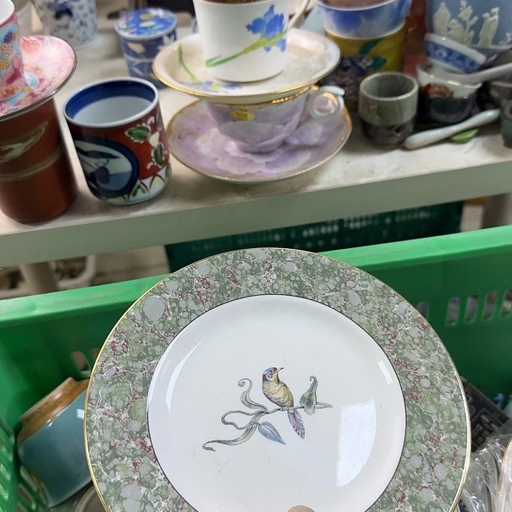 碟开播啦…开播啦