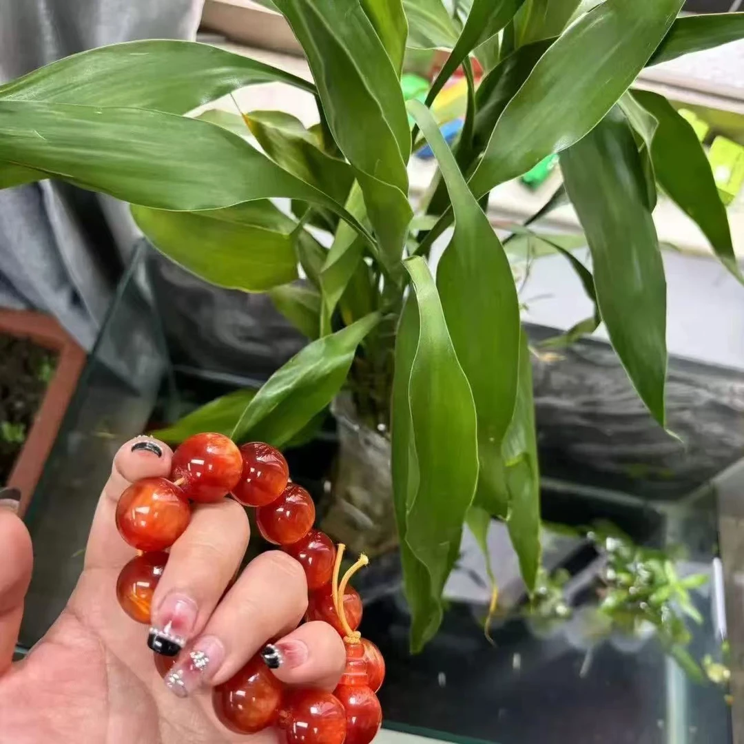 玉化菩提单圈手串无礼盒527