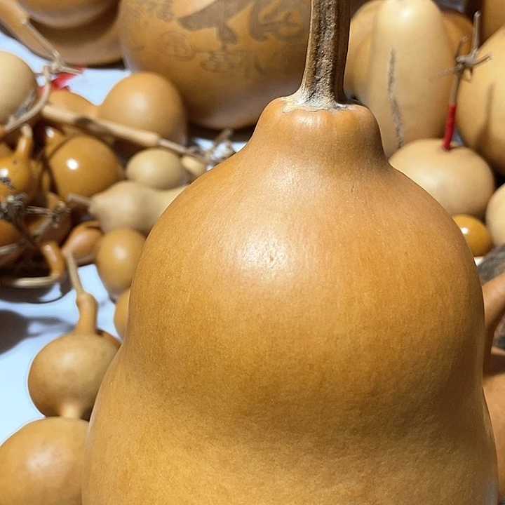 钱***锦直播间里的拍品链接