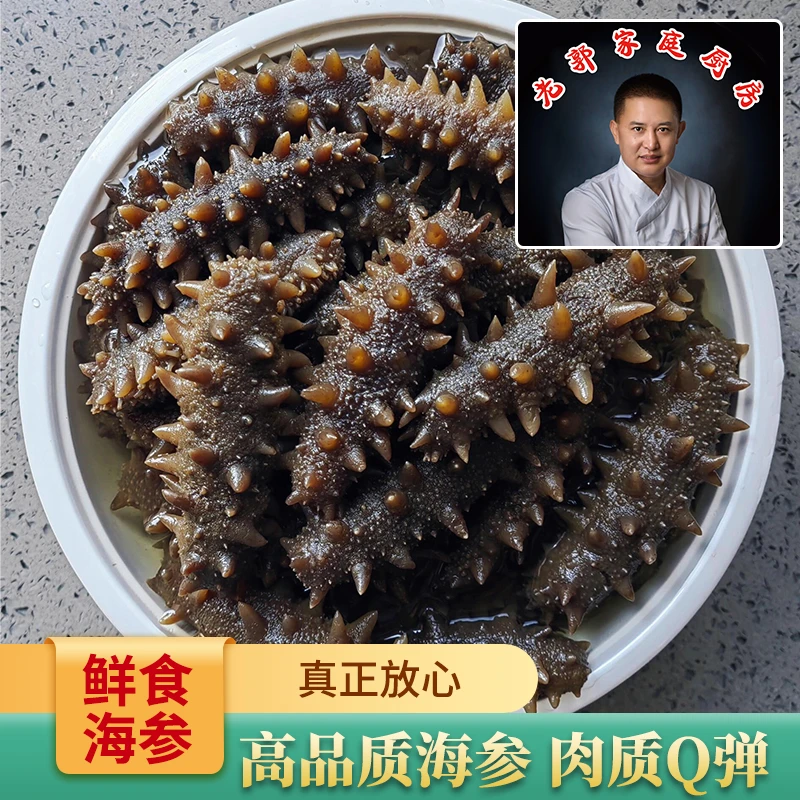 【老郭】鲜食海参8-12头低温冷蒸单独包装顺丰发货