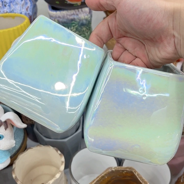 多肉植物陶瓷花盆