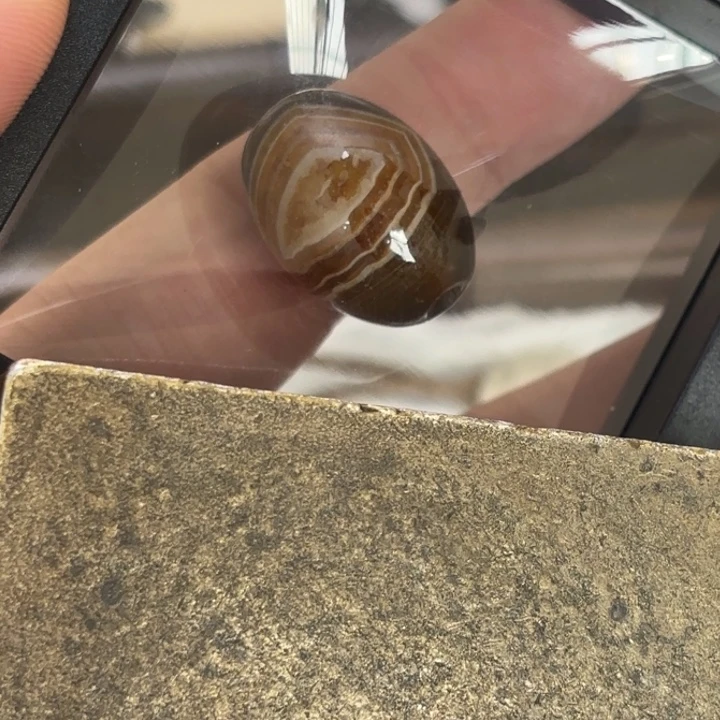 如图所示一物一拍