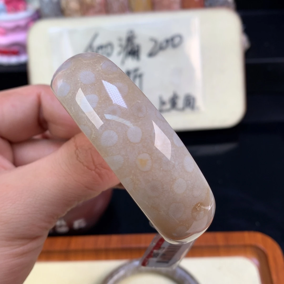 硅化珊瑚（珊瑚玉）未镶嵌颈饰89号白冰花花55.9圈