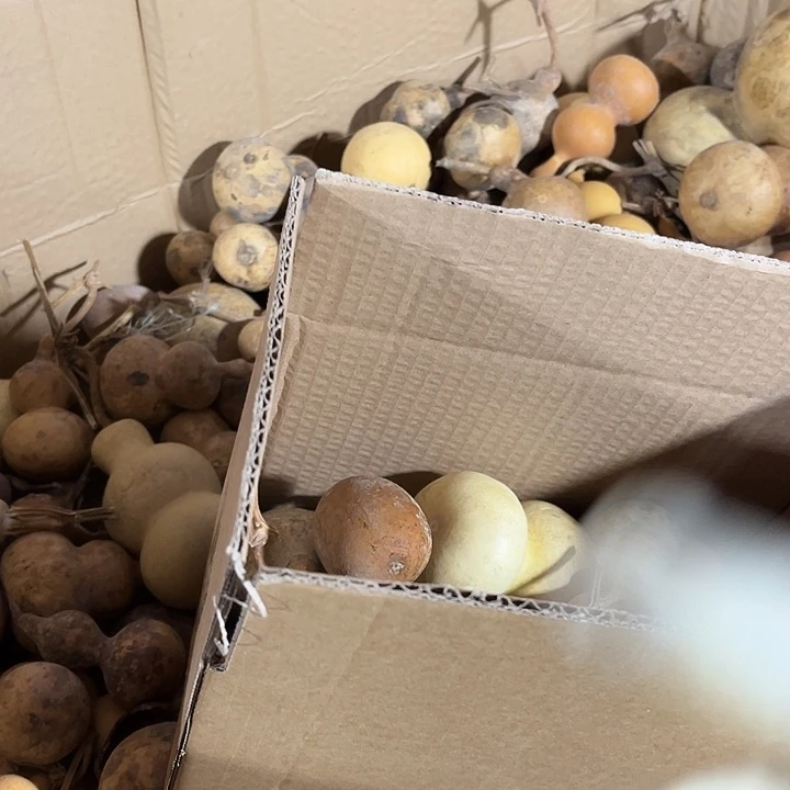 啊啊啊啊啊啊啊啊