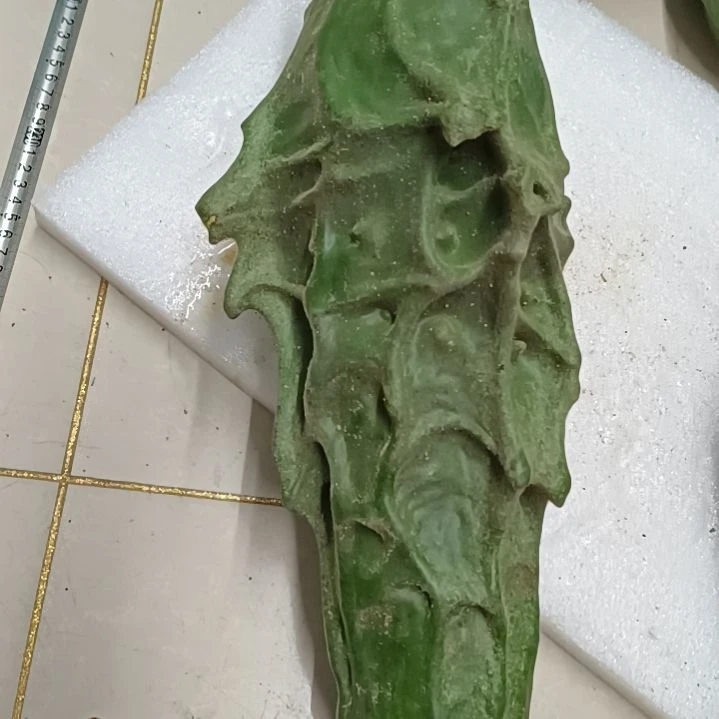 老***道木鹤首葫芦！！！！！！！！！！