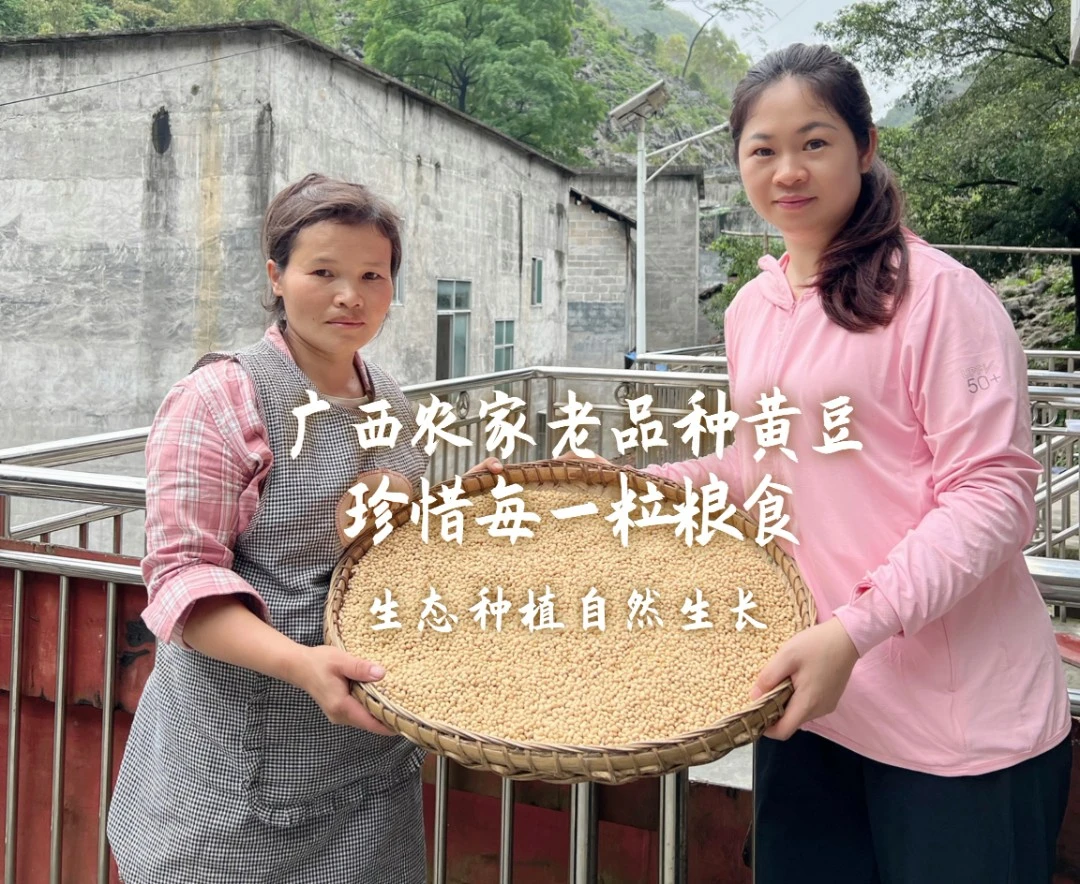 广西大山土货小粒新黄豆农家老品种深山种植豆味浓郁
