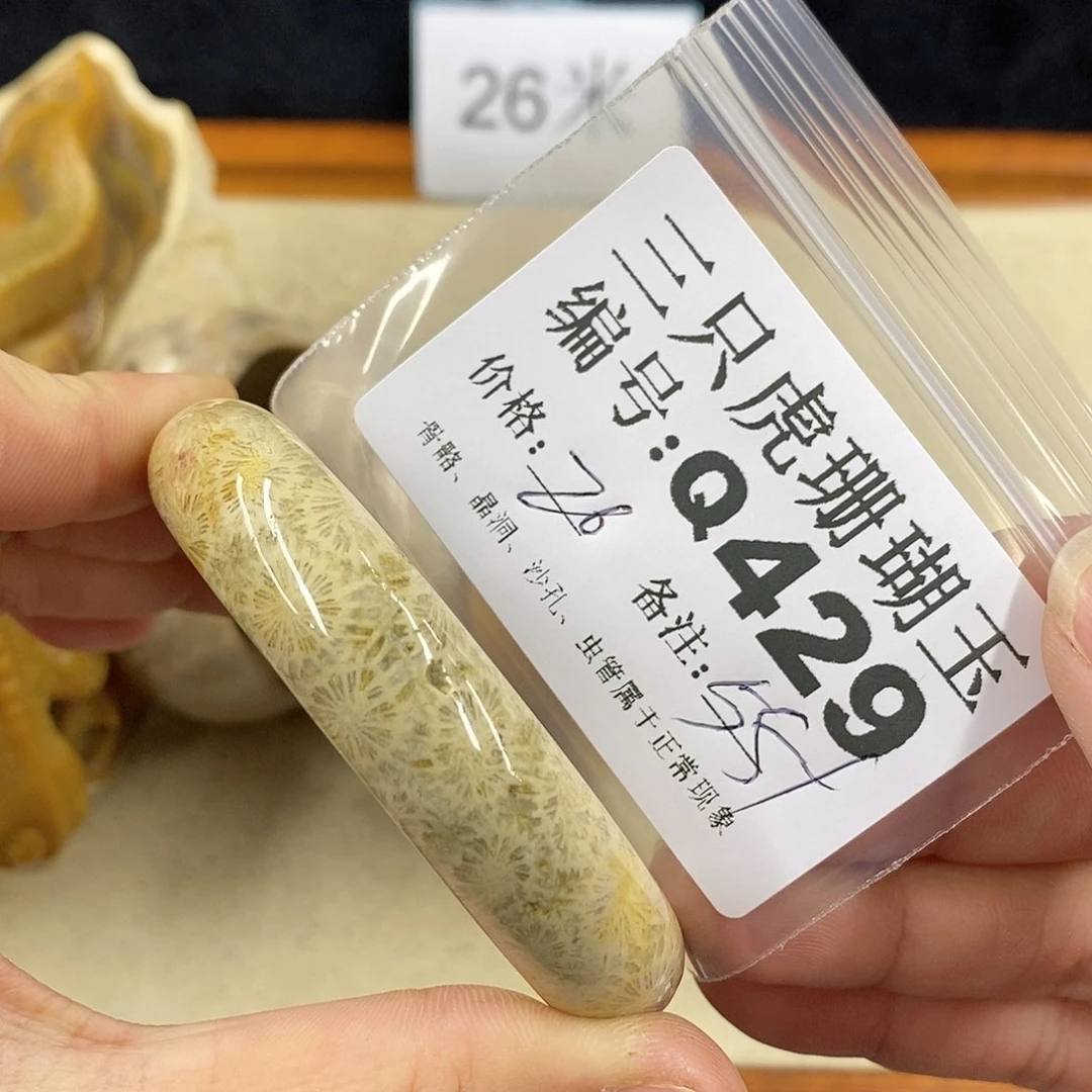 硅化珊瑚（珊瑚玉）1未镶嵌