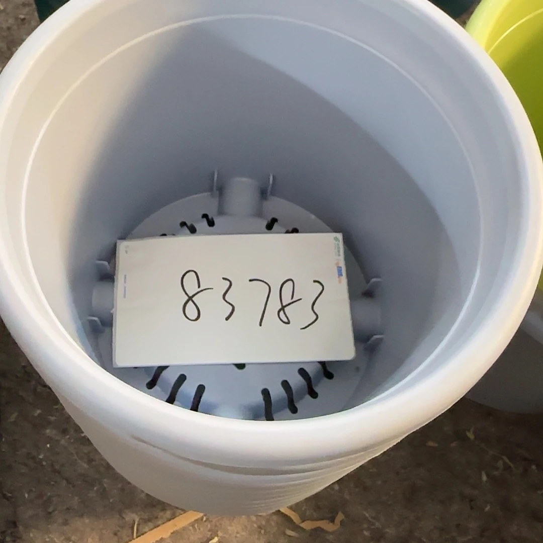 欢***雪编号83783，3号无托