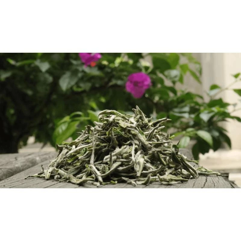 2019年福鼎白茶白毫银针小菜茶银针535#