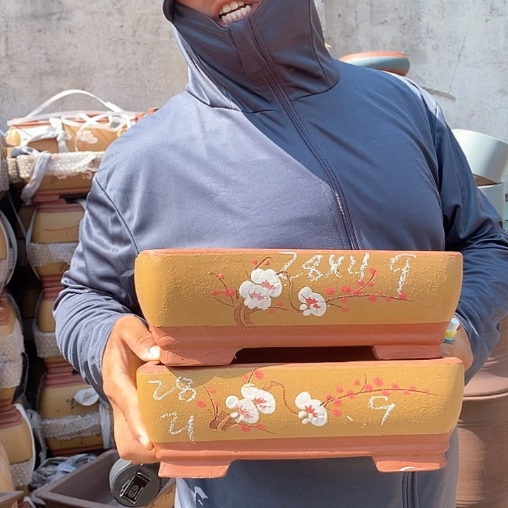 紫砂花盆盆栽植物观赏种植