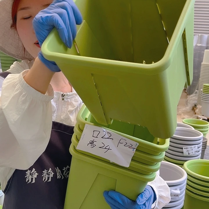 方盆F22#果绿色5个无托