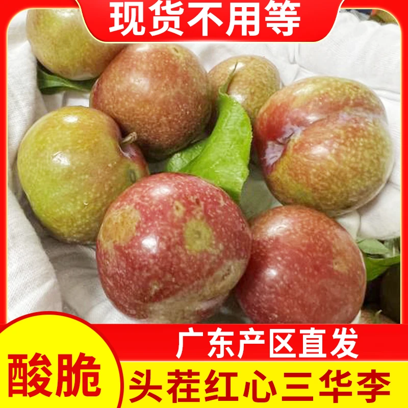 【现货】广东三华李红心李酸涩爽脆李子新鲜当季应季水果早红心李子