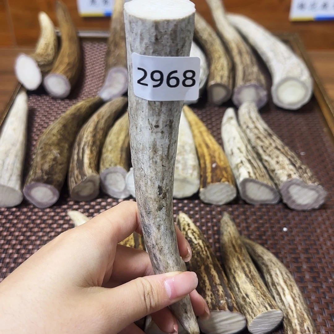 手串/手链鹿骨角尖2868