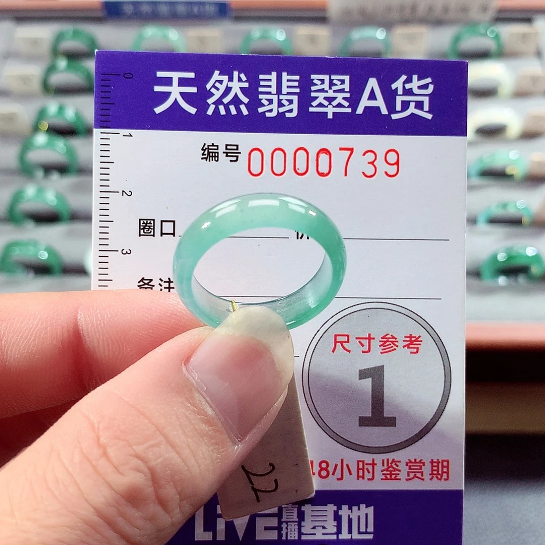 翡翠未镶嵌戒指22号