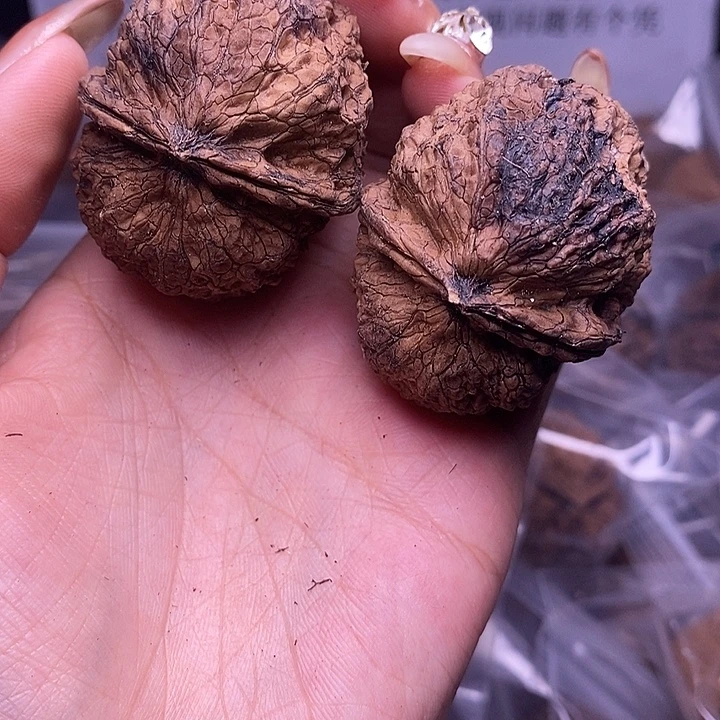 核桃云南野生铁核桃17号45mm