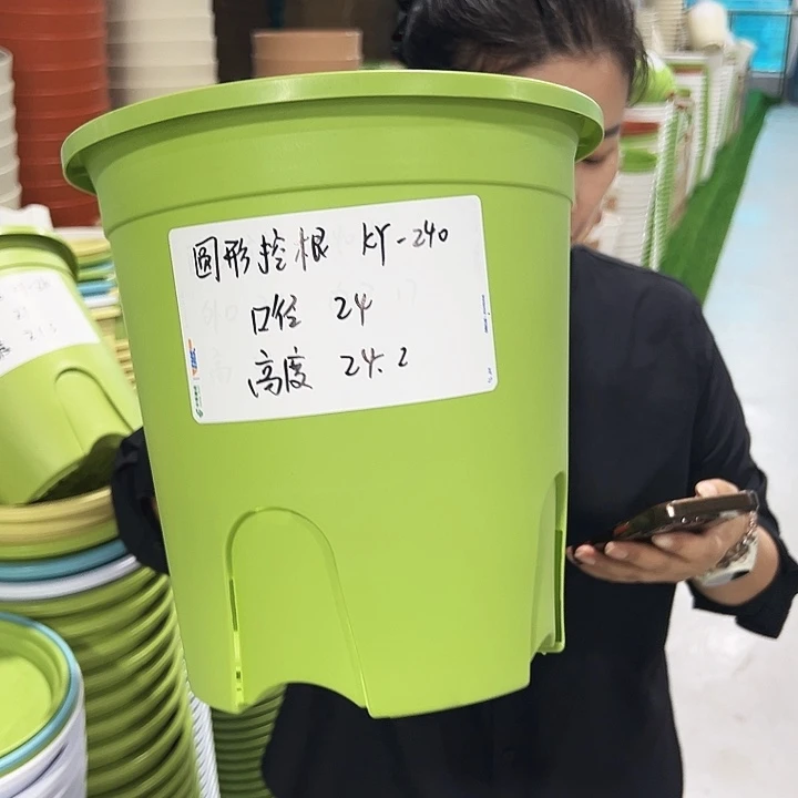 正品圆控口24高24果绿带托8只