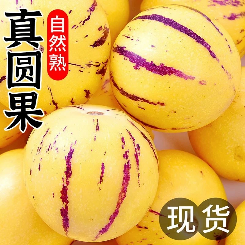 【自家种植】云南石林人参果黄肉果树上熟新鲜清甜多汁低糖水果