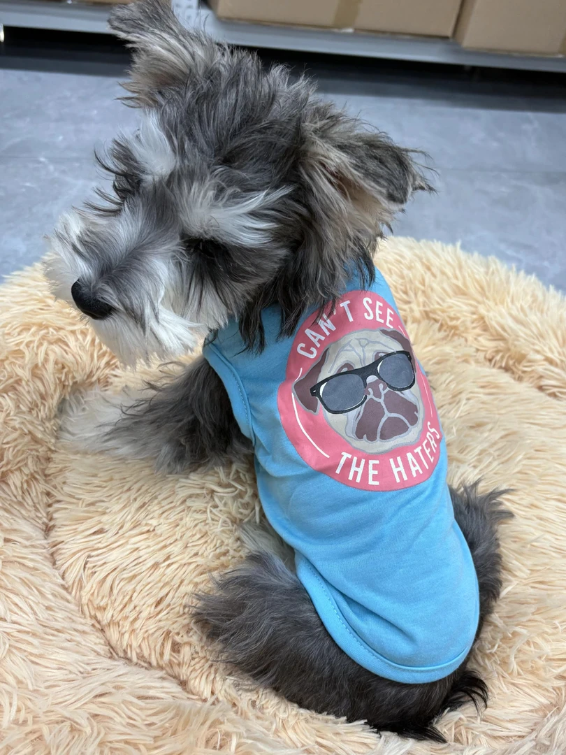 【嘉禧宠物专属】宠物蓝色无袖夏T 按胸围背长拍 体重只最参考哦