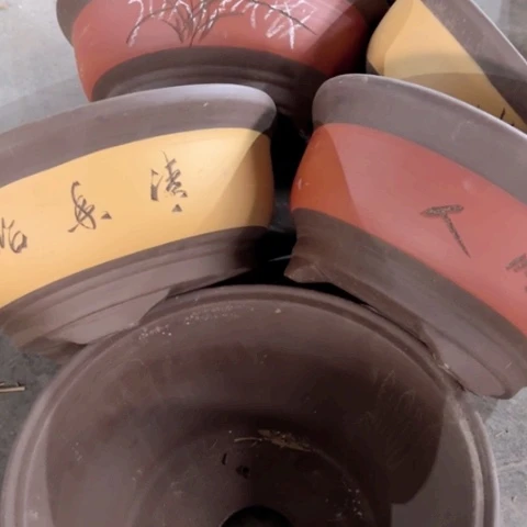 100-6。      微瑕30-13