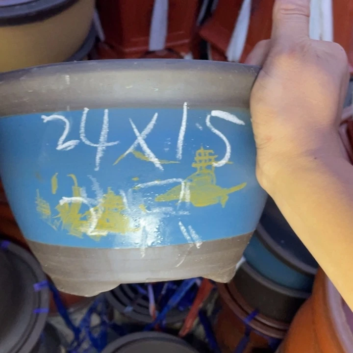 周深周深周深周深周深